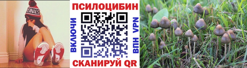 Псилоцибиновые грибы GOLDEN TEACHER  купить закладку  Данилов 
